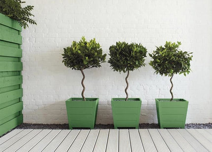 Ronseal Garden Paint Clover 250ml Ronseal - RockBottom Nothampton