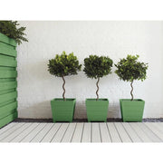 Ronseal Garden Paint Clover 250ml Ronseal - RockBottom Nothampton