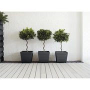 Ronseal Garden Paint Blackbird 750ml Ronseal - RockBottom Nothampton