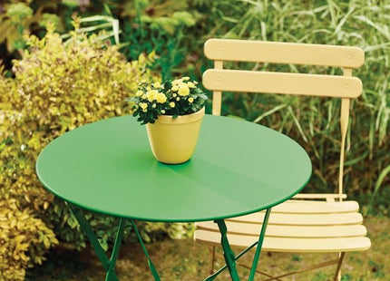 Ronseal Garden Paint Clover 250ml Ronseal - RockBottom Nothampton