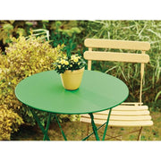 Ronseal Garden Paint Clover 250ml Ronseal - RockBottom Nothampton