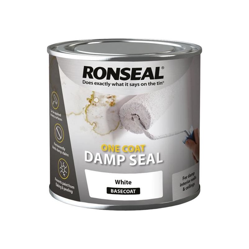 Ronseal Anti Condensation Paint White Matt 750ml Ronseal - RockBottom Nothampton