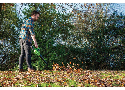 Draper D20 20V Leaf Blower, 1 x 2.0Ah Battery, 1 x Charger 70526 Draper - Town Tools 