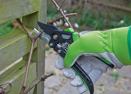Draper Bypass Pattern Secateurs, 200mm 94982 Draper - Town Tools 