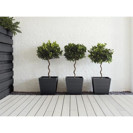 Ronseal Garden Paint Blackbird 250ml Ronseal - RockBottom Nothampton