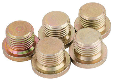 Draper Spare Bolt M17 x 1.50 for 36631 85534 Draper - Town Tools 