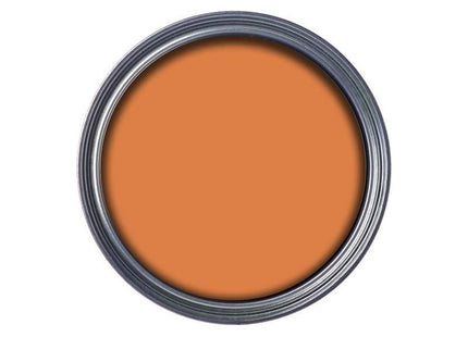 Ronseal Garden Paint Sunburst 250ml Ronseal - RockBottom Nothampton