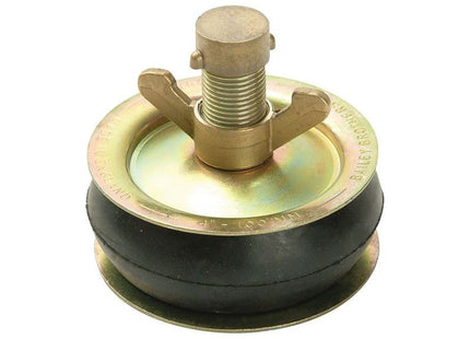 Bailey Products 2416 Drain Test Plug 100mm (4in) - Brass Cap Bailey Products - RockBottom Northampton