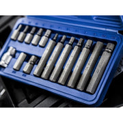 Bluespot Tools Hex Bit Set, 15 Piece BlueSpot Tools - RockBottom Northampton
