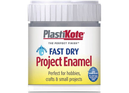Plastikote Fast Dry Enamel Paint B52 Bottle Pewter 59ml PlastiKote - RockBottom Nothampton