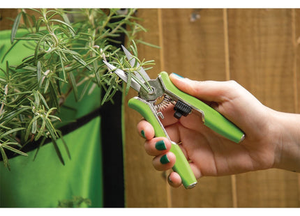 Draper Bypass Pruning Shear Set, 150mm (2 Piece) 08991 Draper - Town Tools 
