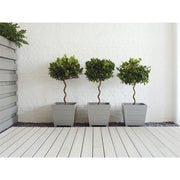 Ronseal Garden Paint Slate 250ml Ronseal - RockBottom Nothampton