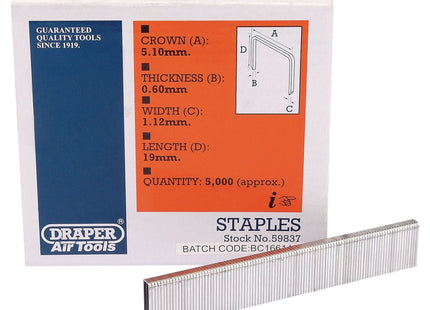 Draper Staple, 19mm (5000) 59837 Draper - Town Tools 