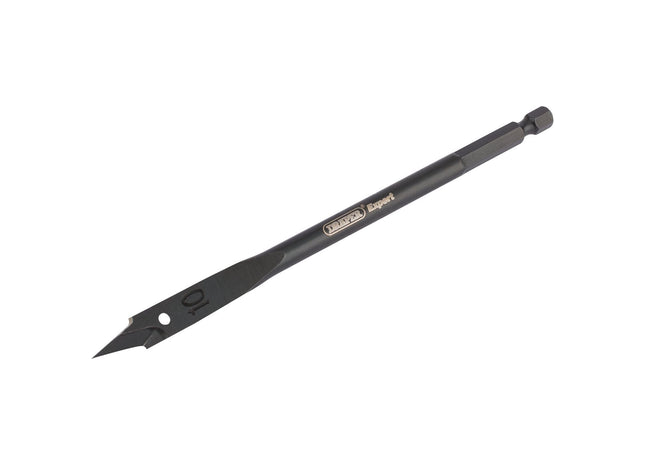 Draper Expert Flat Wood Bit, 10mm 17427 Draper - Town Tools 