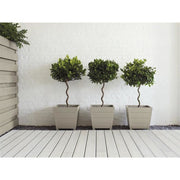 Ronseal Garden Paint Warm Stone 250ml Ronseal - RockBottom Nothampton