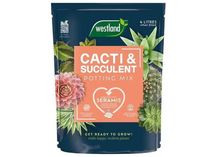 Westland Cacti & Succulent Potting Mix 4 litre Westland - RockBottom Northampton