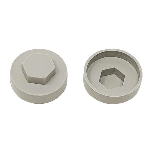 Forgefix TechFast Cover Cap Goosewing Grey 19mm (Pack 100) ForgeFix - RockBottom Northampton