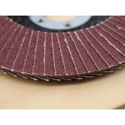 Faithfull Aluminium Oxide Flap Disc 115 x 22mm 120 Grit Faithfull - RockBottom Northampton