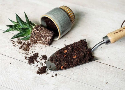 Westland Cacti & Succulent Potting Mix 4 litre Westland - RockBottom Northampton