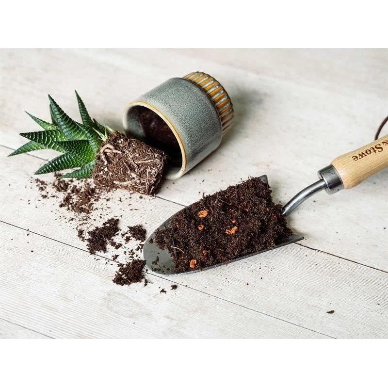 Westland Cacti & Succulent Potting Mix 4 litre Westland - RockBottom Northampton