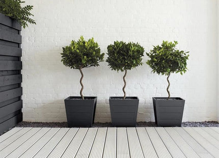 Ronseal Garden Paint Blackbird 2.5 litre Ronseal - RockBottom Nothampton