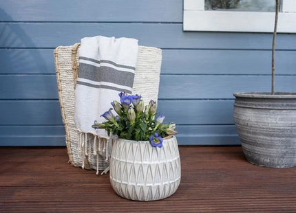 Ronseal Fence Life Plus+ Cornflower 5 litre Ronseal - RockBottom Nothampton