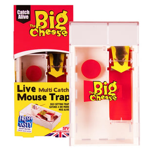 Live Multi Catch Mouse Trap