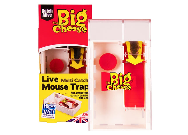 Live Multi Catch Mouse Trap