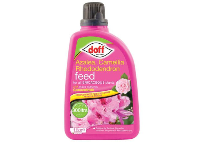 Azalea Feed 1L525